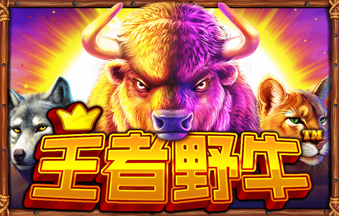bob买球app截图1